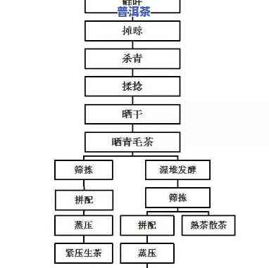 河南普洱茶工艺的全面解析：多种类型与独特特点探讨