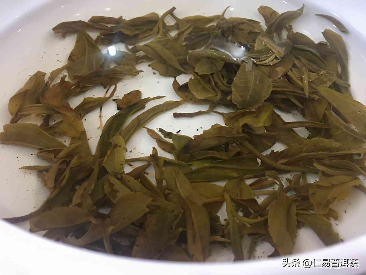 普洱茶搭配全解析：什么食物和饮品最适合与普洱茶一起享用？