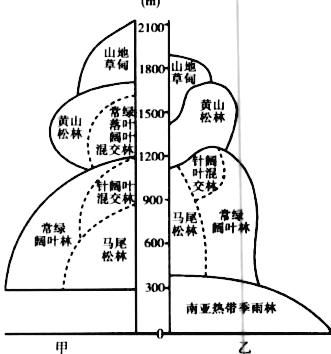 山南北坡植被差别：探讨原因与差异