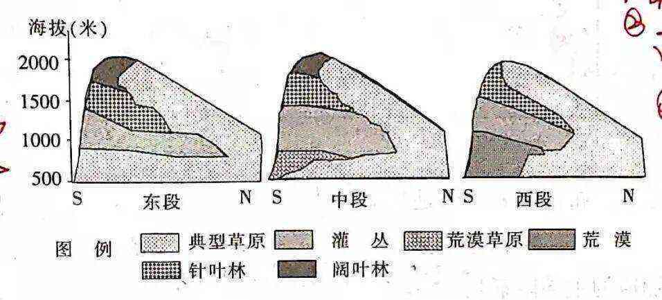 山南北坡植被差别：探讨原因与差异