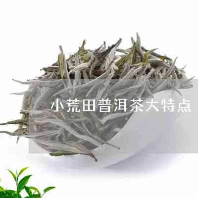 小荒田普洱茶有苦涩感么