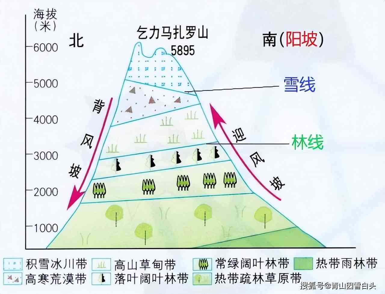 山南北坡植被差别：探讨原因与差异