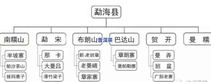 勐海普洱茶品种名称及特点口感，你想要了解哪方面的信息呢？