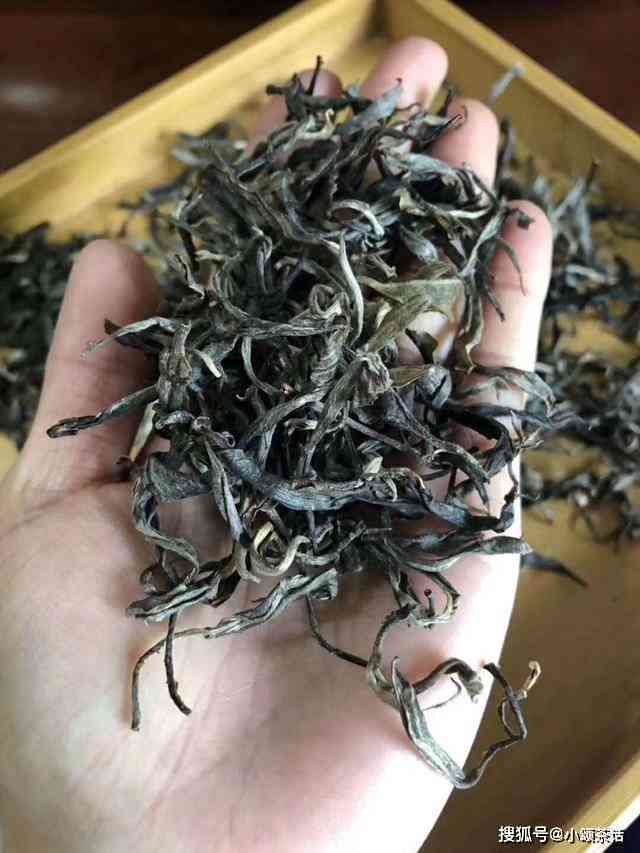 景迈晒青茶散茶：一种普洱茶吗？了解其特点、制作工艺与品质