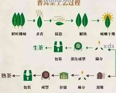 普洱茶的分类、产地、制作工艺及其在中国茶文化中的地位