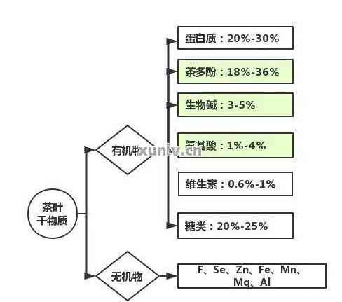 探究古树普洱茶的藏条件：湿度、度、通风及其他关键因素