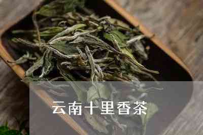 云南昆明特产：十里香茶的韵味与品质