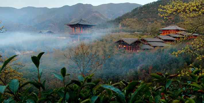 十里香茶厂：品茗胜地，茶叶品种与制作工艺的全方位探索