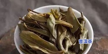 探究普洱茶的陈化时间：生茶、熟茶、存放年限全解析