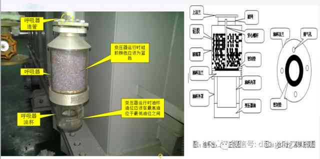 新普洱茶饼受潮变色问题解决指南：处理方法与应对技巧