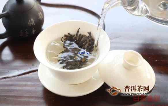 如何选择适合泡青普洱茶的壶？了解不同材质壶的优点与缺点，让你的茶更美味