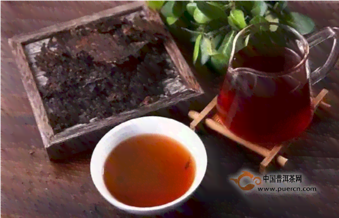 普洱茶的独特魅力：超越茶香的品饮体验