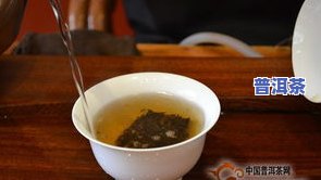 普洱茶种类繁多，全面解析各类普洱茶的特点与适用场景