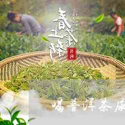 普洱茶饮用时间及其科学依据解析