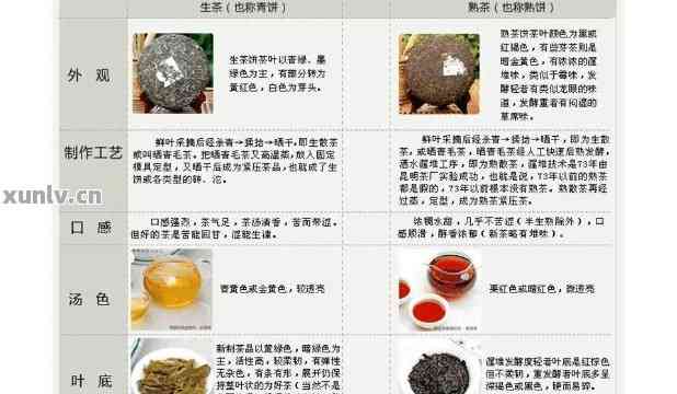 100元的普洱茶：百元一斤的口感与品质之谜