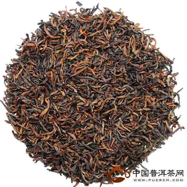 普洱茶最出名的茶叶品种是哪种？