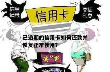 交行信用卡逾期一年多，如何解决逾期问题并恢复正常信用？