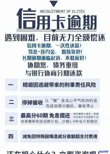 7张信用卡逾期后的处理策略与建议