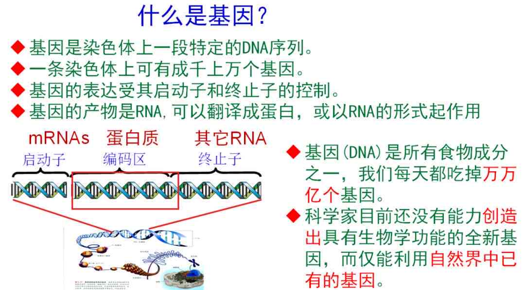 玉的特性及其在保暖方面的应用：为何玉制品看似暖不热？