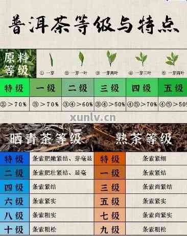 普洱茶市场行情：一斤茶叶的价格差异与影响因素分析