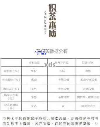 裕泰普洱茶沱茶全线产品价格解析：高品质茶叶的性价比之选