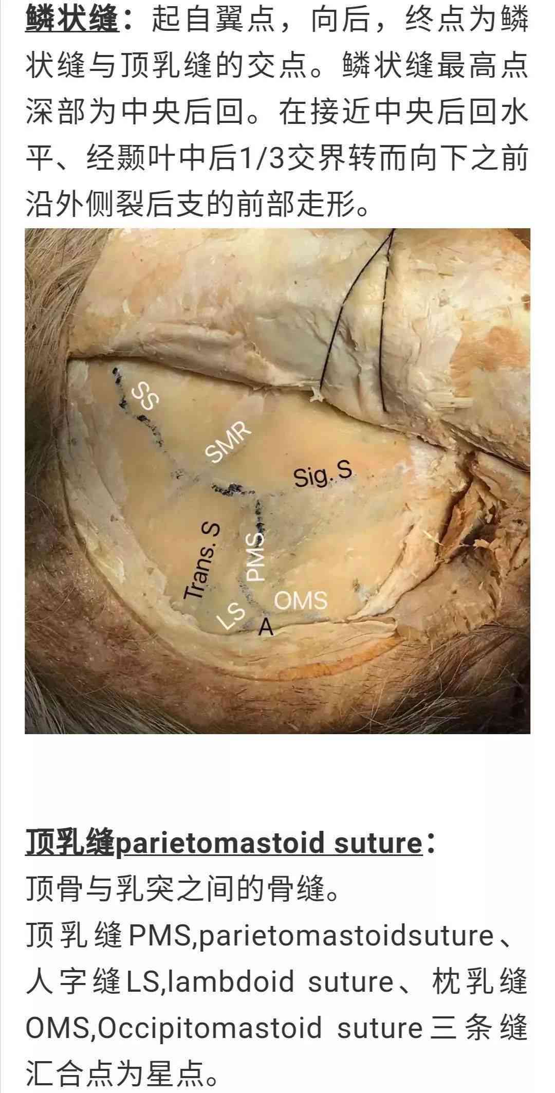 如何准确测量血玉的硬度：一次全面解析