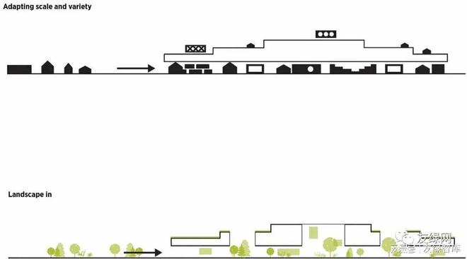 03年绿色泰号：历、建造、影响与可持续性的全面分析