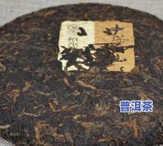 普洱茶可分为哪两种类型