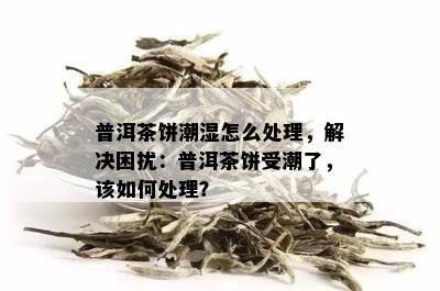 普洱茶哪个地方最出名好喝的，哪个地方的茶？