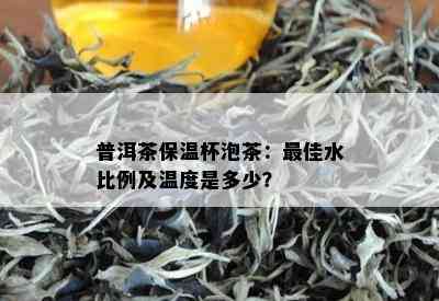 普洱茶哪个地方最出名好喝的，哪个地方的茶？