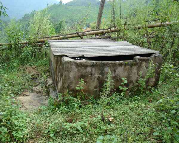 临沧团山普洱茶市场价格波动及投资分析