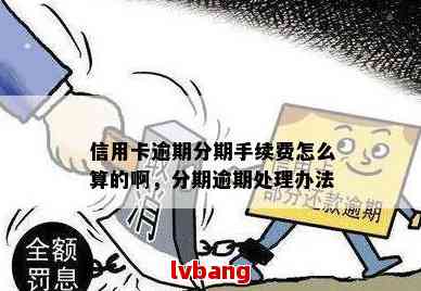 合理吗？信用卡逾期还款收取分期手续费的合法性与资讯解析