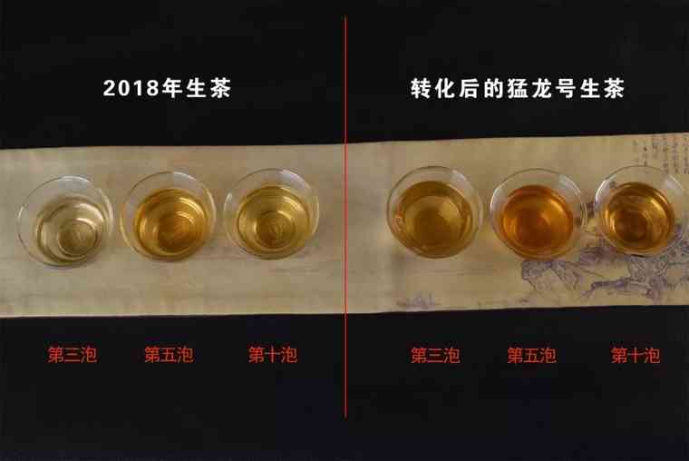 全面解析龙润茶普洱茶品质、口感、功效及泡法，助您轻松选购与品鉴