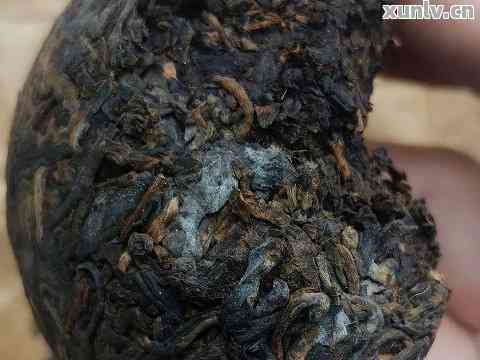 如何处理发霉普洱茶：实用方法解决普洱茶发霉问题