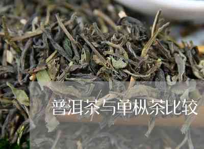 喝普洱茶好还是单丛茶好