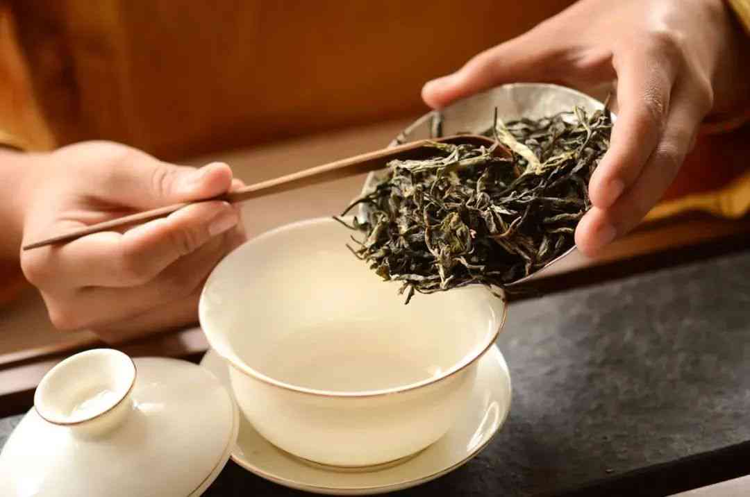 勐海古树茶：源自哪个茶区的高品质茶叶？