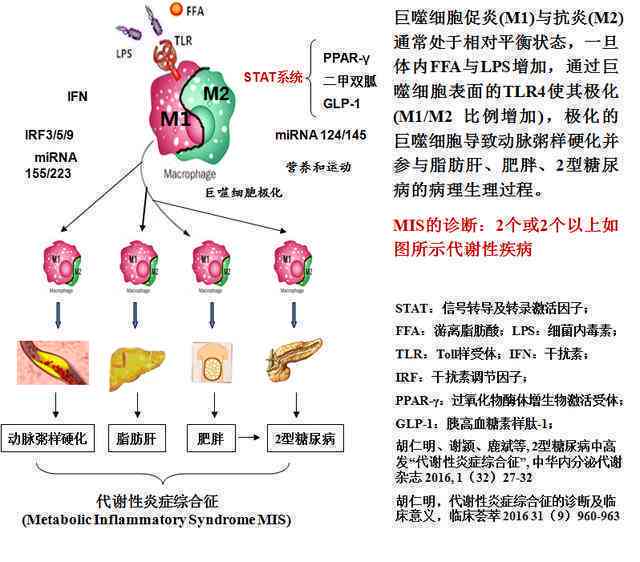 和田玉密度与硬度的关系：高密度是否等同于高硬度？