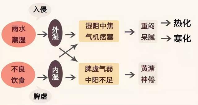 内热症状：探讨健康问题与治疗方法的相关因素