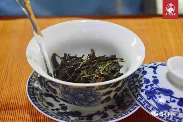 全方位解析普洱茶试茶方法：从选茶到品鉴的详细步骤与技巧