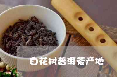 箐普洱茶是哪个产区