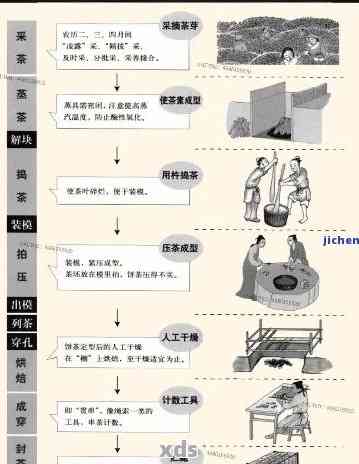 普洱茶的加工工艺有哪几个工序：普洱茶制作关键步骤详解