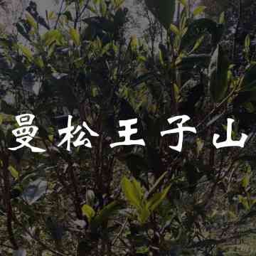 普洱茶裕元茶业曼松王子山