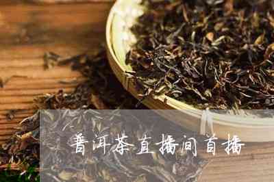 普洱茶斗茶直播间怎么开