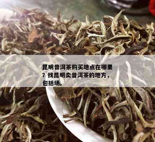 昆明普洱茶市场指南：哪里购买品质的普洱茶？