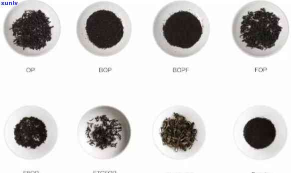 普洱茶饼烘焙：度、时间与效果的科学指南