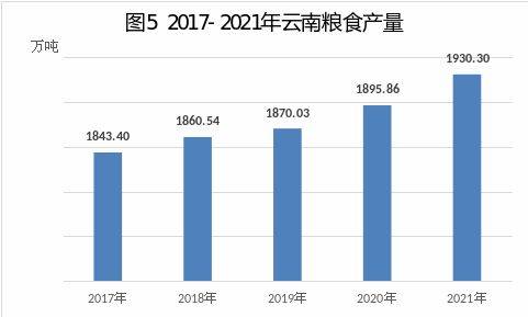 云南普洱茶各产区产量对比：揭示更大产区的优劣势与市场前景