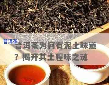 贵阳普洱茶生产：寻找更优质的贵阳普洱茶生产商