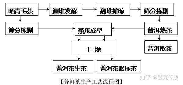 大益普洱茶制作工艺特点与流程