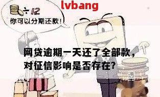 网贷逾期一天后还款，是否会受到影响及如何避免不良信用记录？