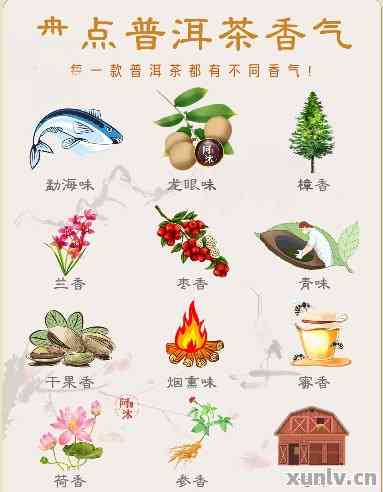 四大名香普洱茶：探索普洱茶的香型奥秘